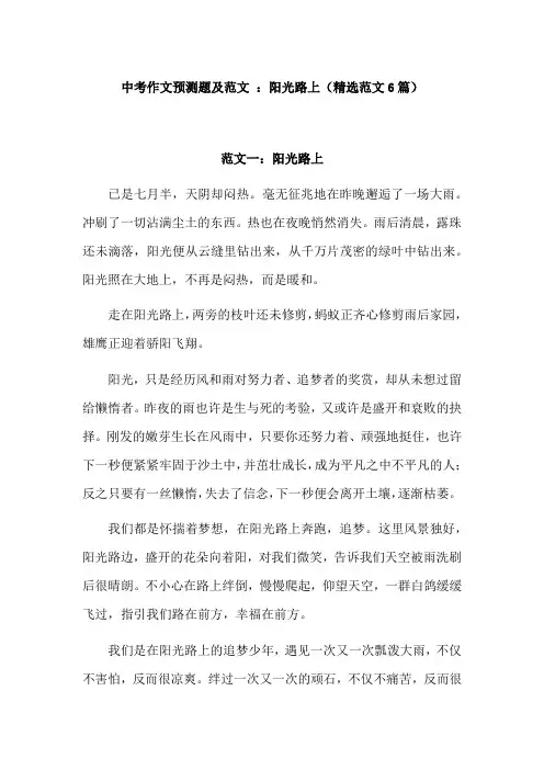 阳光路上初中中考作文