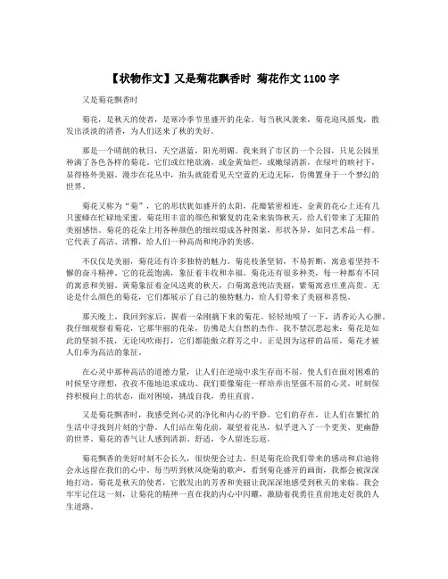 【状物作文】又是菊花飘香时 菊花作文1100字