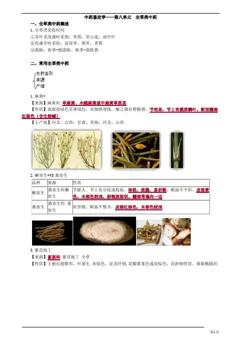 主管中药师-专业知识-中药鉴定学-全草类中药(7页)
