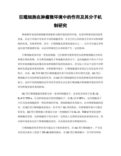 巨噬细胞在肿瘤微环境中的作用及其分子机制研究