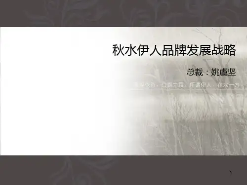 杭州女装品牌--秋水伊人品牌发展战略 PPT课件