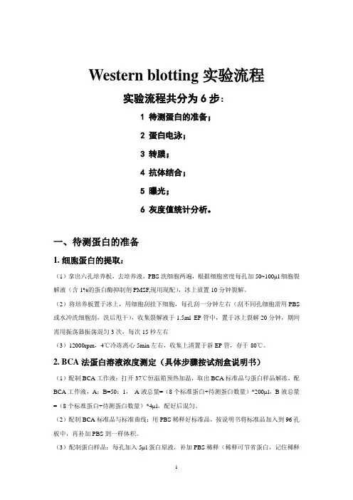 实验步骤- Western bloting  实验流程 (2012-5临床医