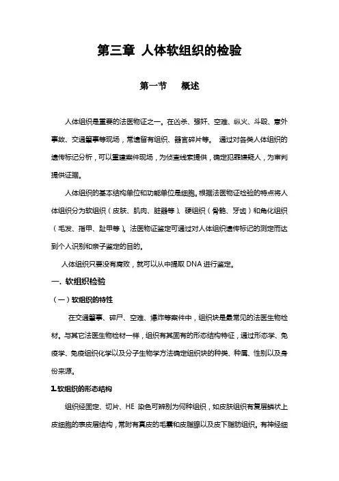 人体软组织的检验概述人体组织是重要的法医物证之一