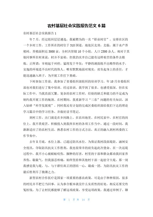 农村基层社会实践报告范文6篇