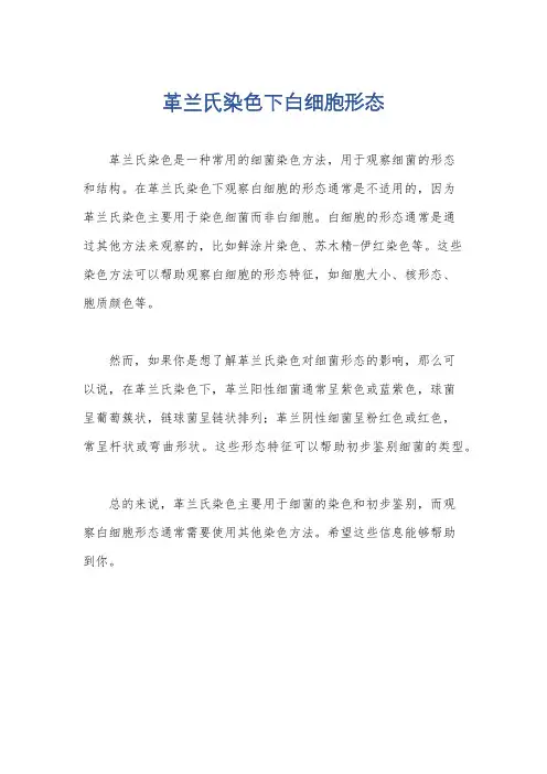 革兰氏染色下白细胞形态