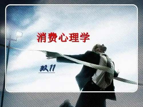 电子商务·消费心理学·双十一典型案例分析