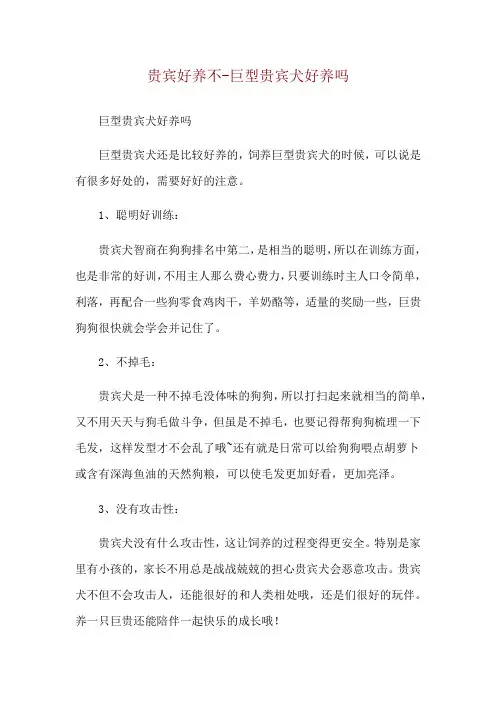 贵宾好养不-巨型贵宾犬好养吗