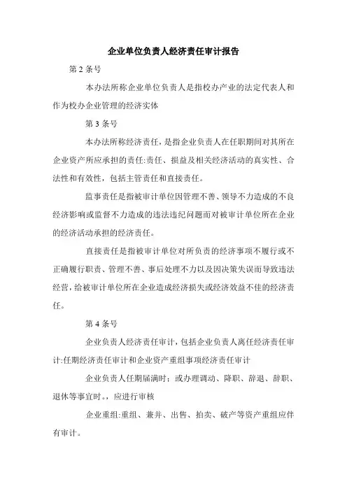 企业单位负责人经济责任审计报告.doc
