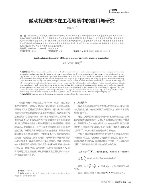 微动探测技术在工程地质中的应用与研究