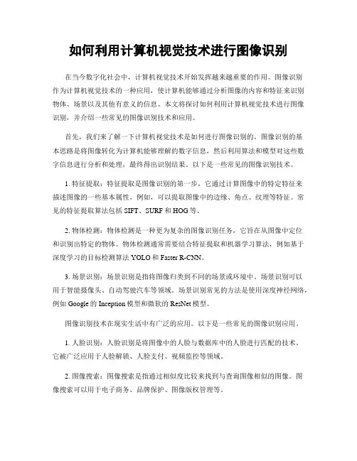 如何利用计算机视觉技术进行图像识别