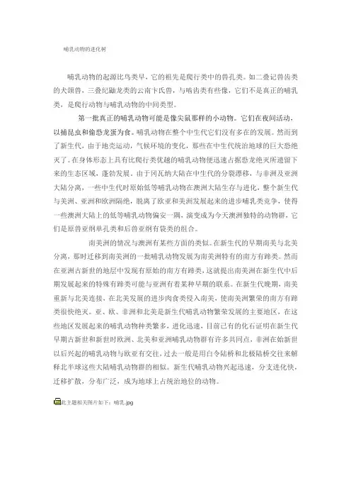 哺乳动物的进化树