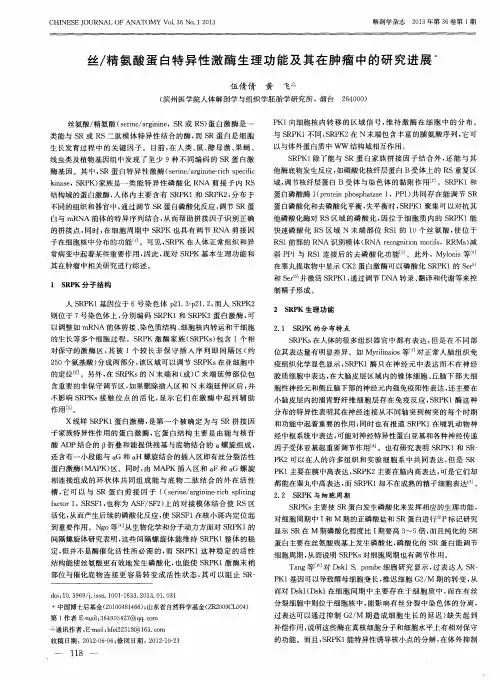 丝／精氨酸蛋白特异性激酶生理功能及其在肿瘤中的研究进展