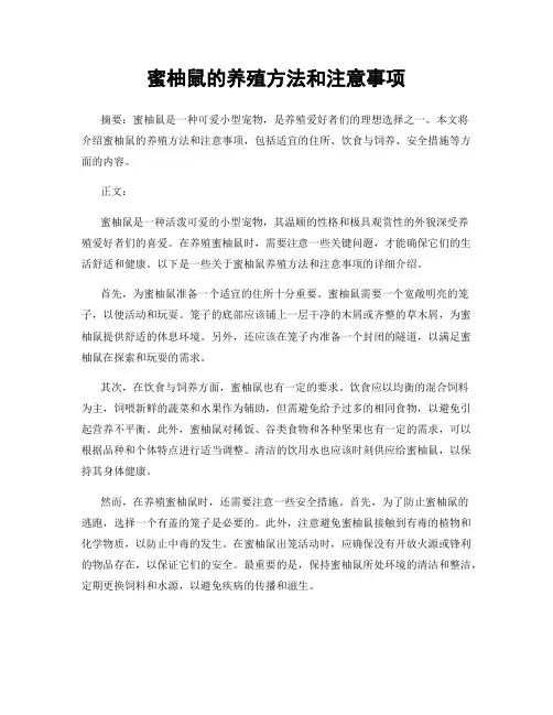 蜜柚鼠的养殖方法和注意事项