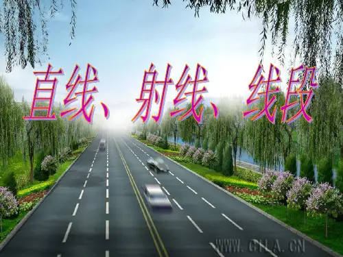 四年级上册数学课件-2.6 线段、射线和直线丨浙教版  (共17张PPT)