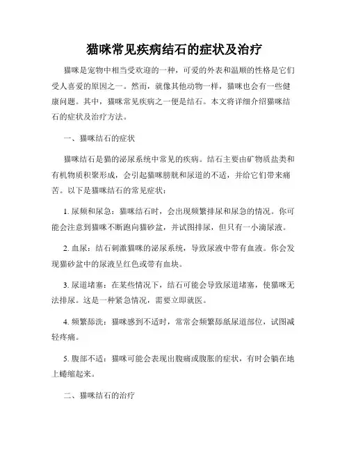 猫咪常见疾病结石的症状及治疗