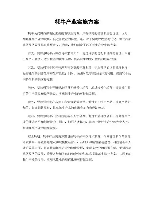 牦牛产业实施方案
