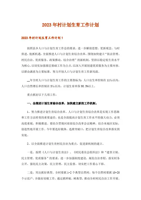 2023年村计划生育工作计划