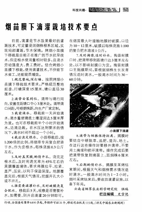 烟苗膜下滴灌栽培技术要点