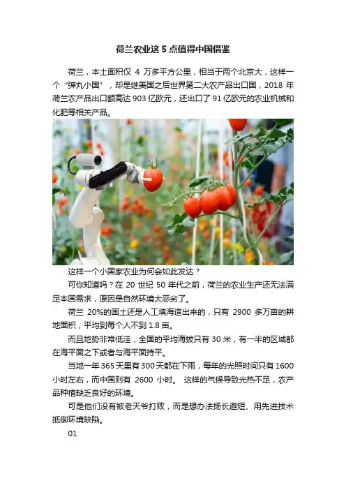 荷兰农业这5点值得中国借鉴