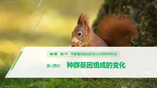 《种群基因组成的变化与物种的形成》生物的进化PPT(第1课时种群基因组成的变化)(完美版)