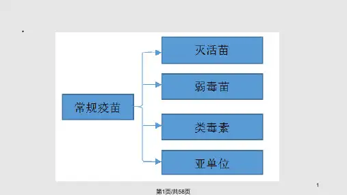 不同类型疫苗的作用机制总结PPT课件