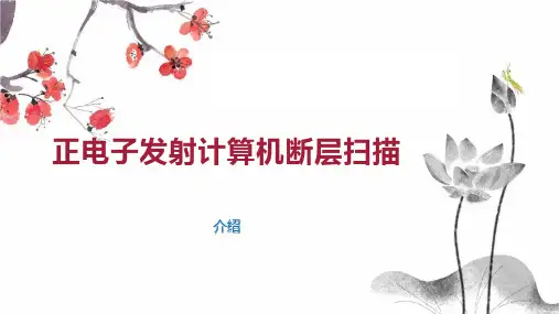 正电子发射计算机断层扫描