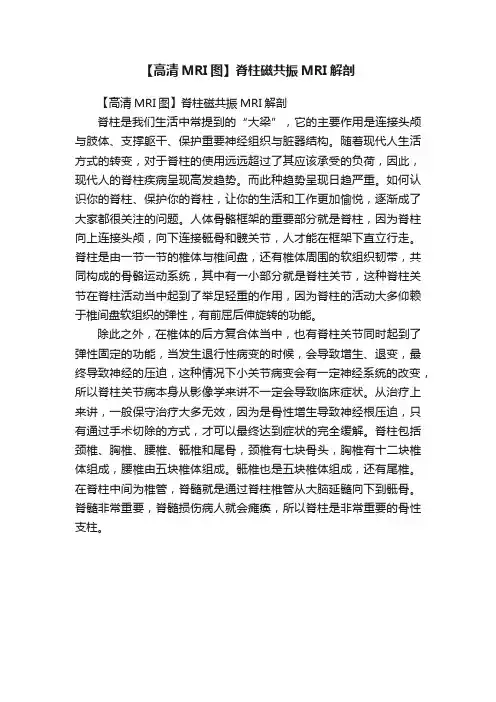 【高清MRI图】脊柱磁共振MRI解剖
