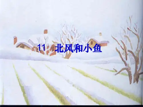 《北风和小鱼》课件.