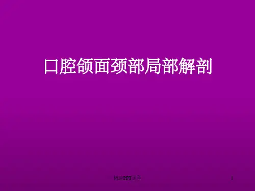 口腔局部解剖PPT课件
