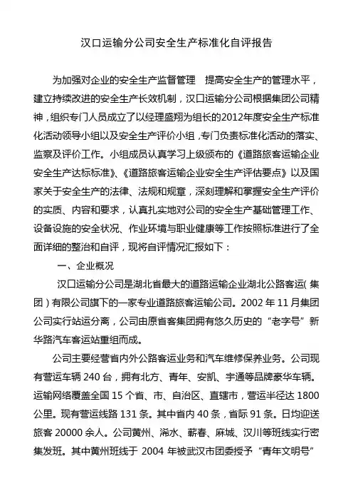 公司安全生产标准化自评报告
