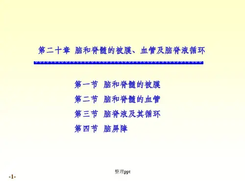 脑和脊髓的被膜、血管及脑脊液循环课件