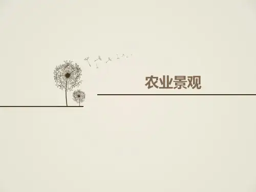 农业景观介绍.