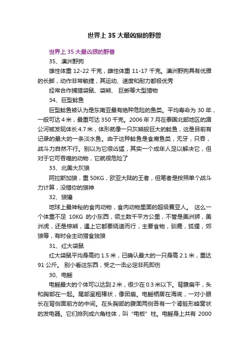 世界上35大最凶狠的野兽