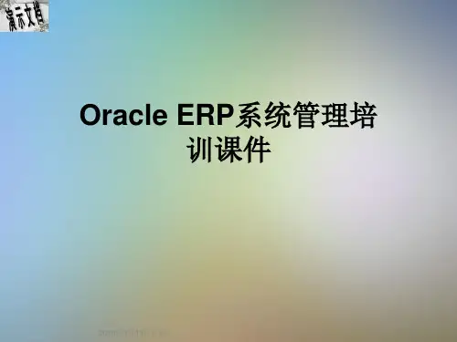 Oracle ERP系统管理培训课件