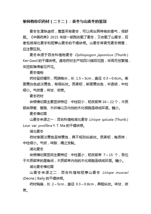 黎师教你识药材（二十二）：麦冬与山麦冬的鉴别