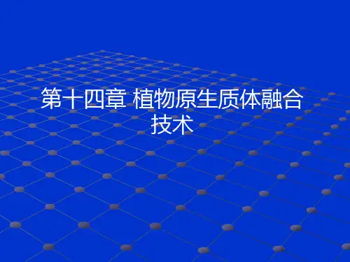 第十四章 植物原生质体融合技术与体细胞杂交