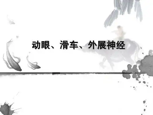 动眼1