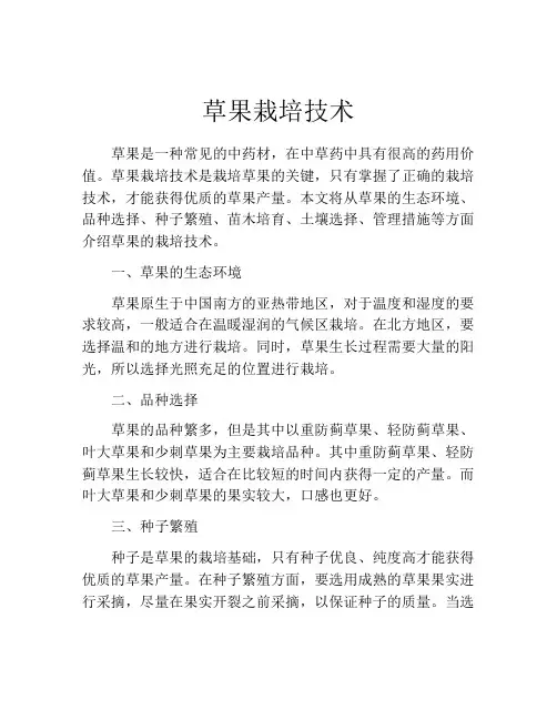 草果栽培技术
