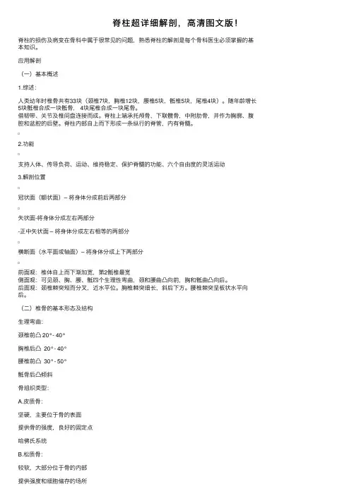 脊柱超详细解剖，高清图文版！