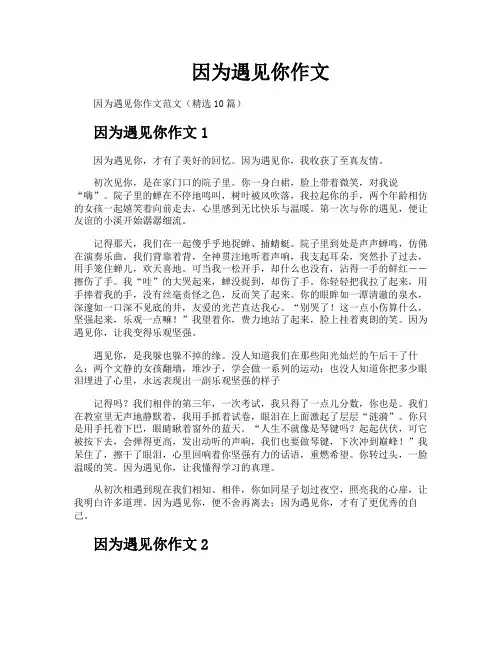 因为遇见你作文