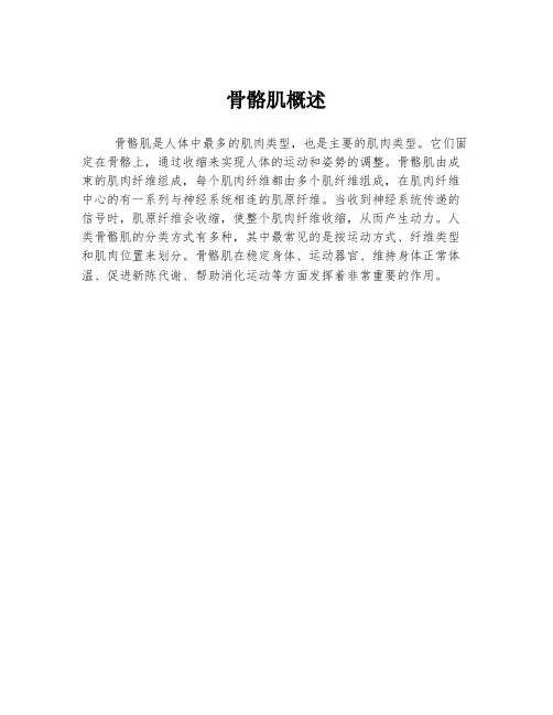 骨骼肌概述