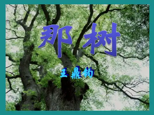 那树-PPT课件