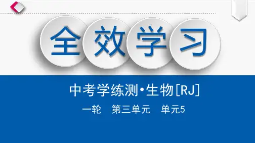 单元5 绿色植物的主要类型