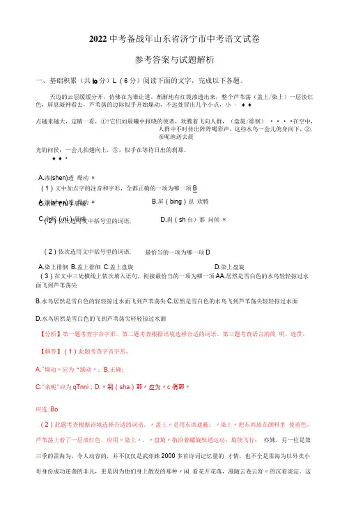 济宁市(2022年-2023年)中考语文试题(含解析)