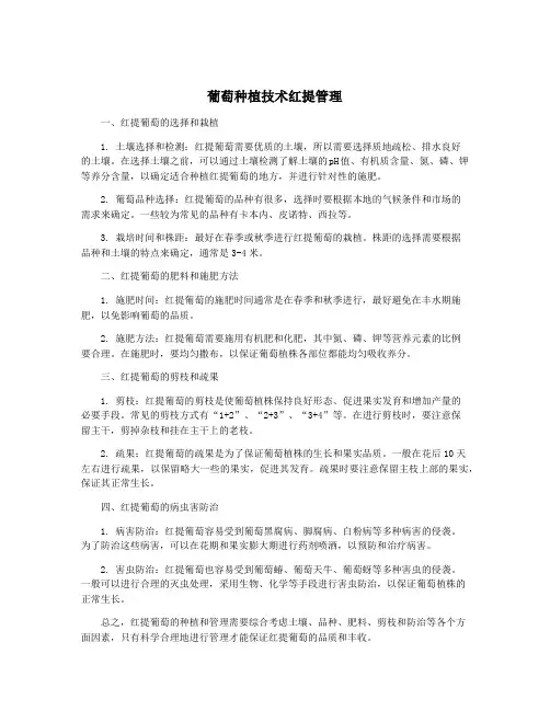 葡萄种植技术红提管理