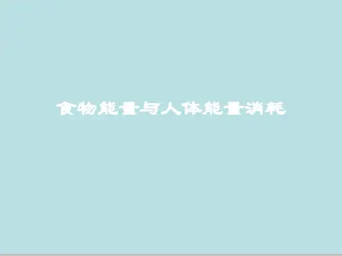 食物能量与人体能量消耗