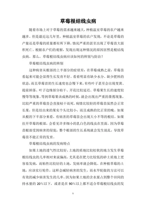 草莓根结线虫病