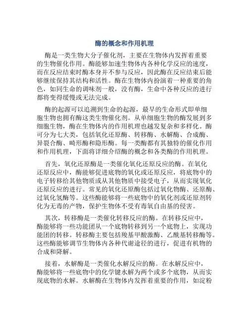酶的概念和作用机理