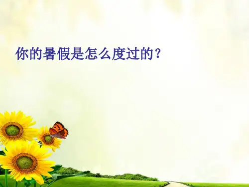 快乐的暑假ppt.