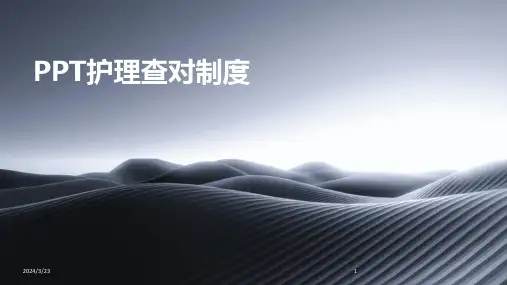 2024年度PPT护理查对制度